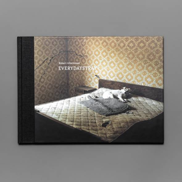 cloud7-everydaystray-charity-book