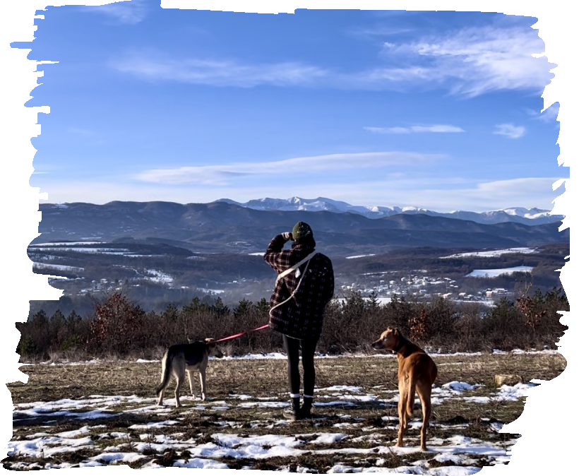 Why Adopt A Dog From Everydaystray Bg EveryDayStray Why Adopt A Dog From Everydaystray Bg EveryDayStray