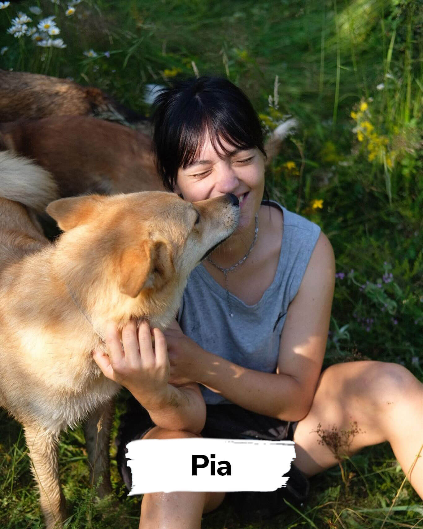 pia