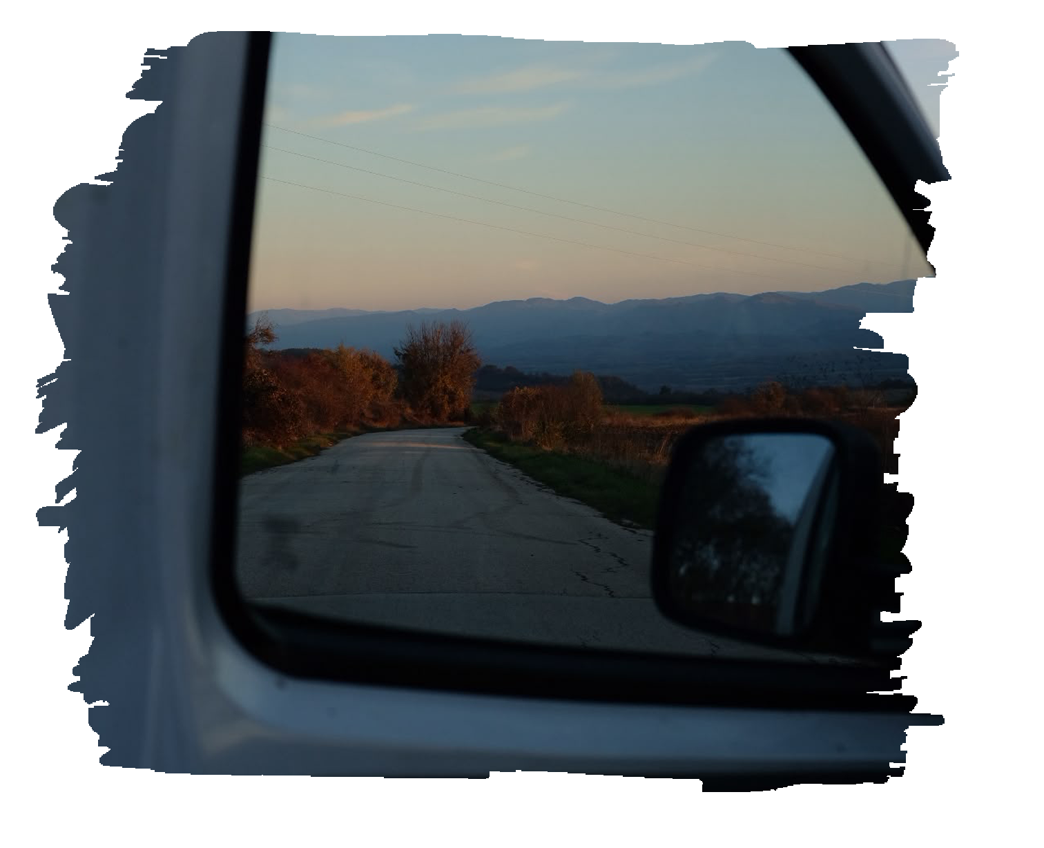 PetTransportation