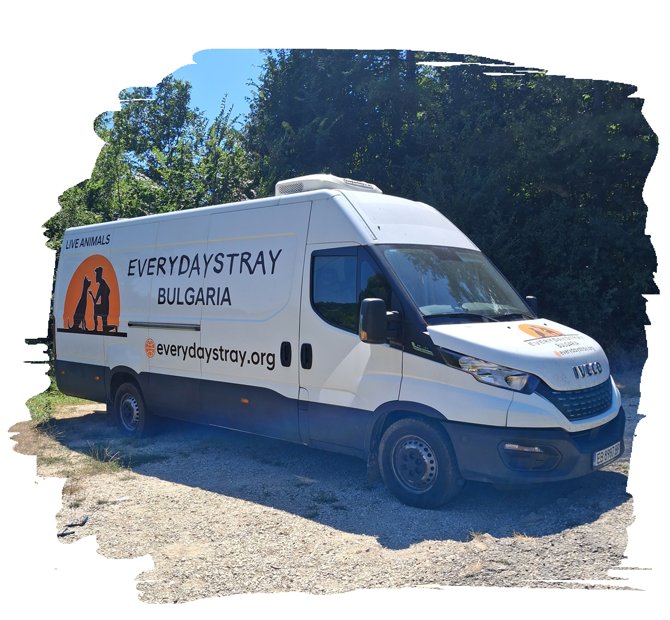 PetTransportation2